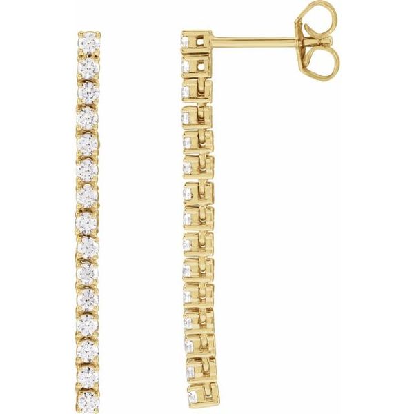 Accented Drop Earrings